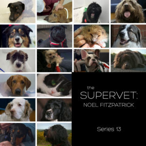 The patients featured in series 13 of The Supervet: Noel Fitzpatrick