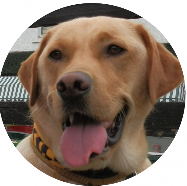 Supervet Christmas Special 2024 Halley Oneida