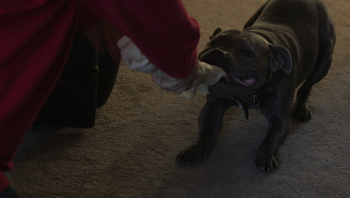 Jasper playing with his family