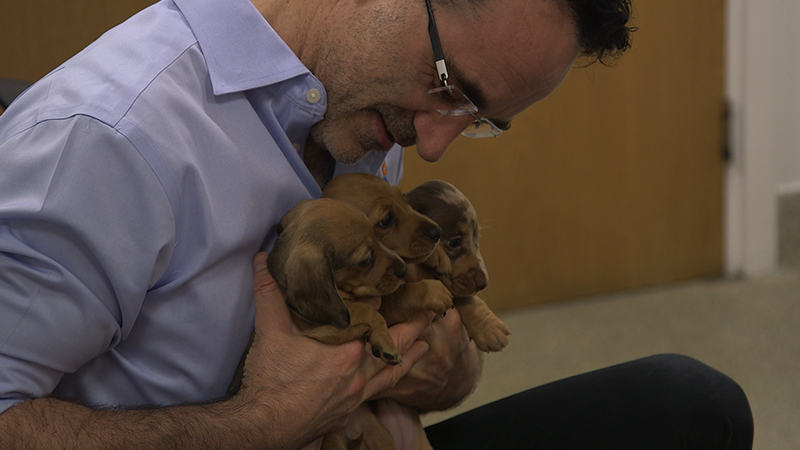 Dachshund puppy with Professor Noel Fitzpatrick