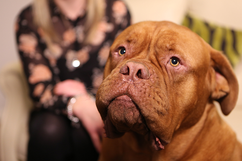 Reggie with his family from The Supervet