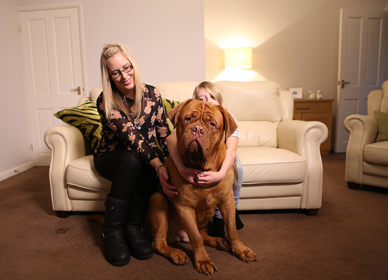 Reggie with his family from The Supervet