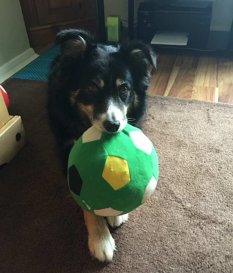 Izzy with ball - NOT Branded