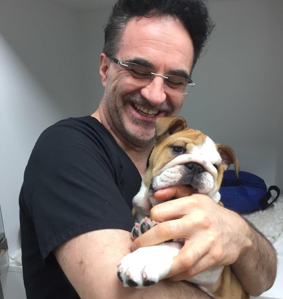 Bulldog puppy with Noel Fitzpatrick