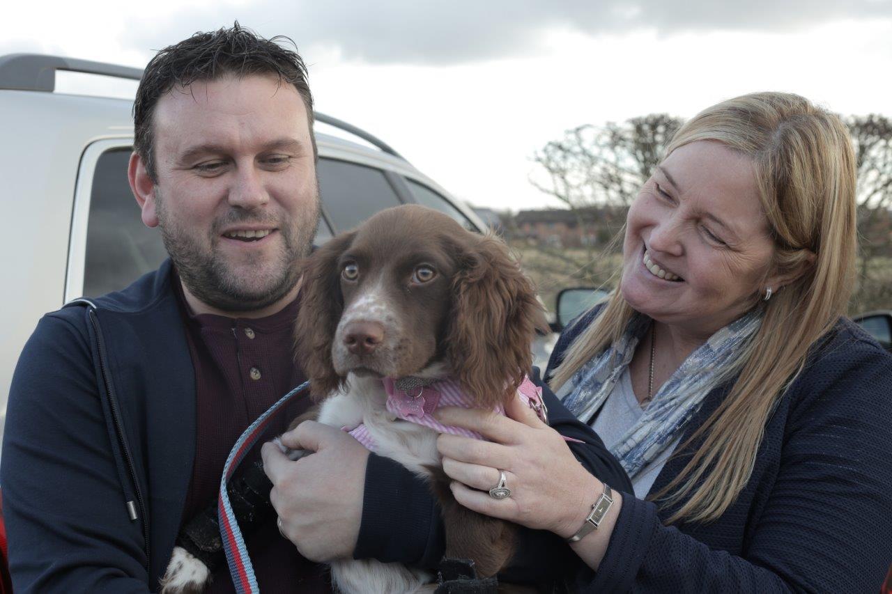 English Springer Spaniel puppy with her family