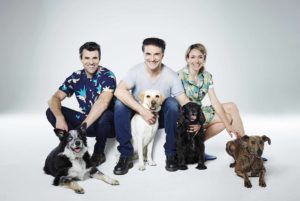 Animal Rescue Live hosts Steve Jones, Professor Noel Fitzpatrick and Kate Quilton