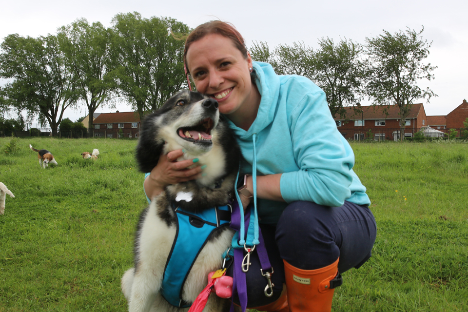 Collie cross on The Supervet