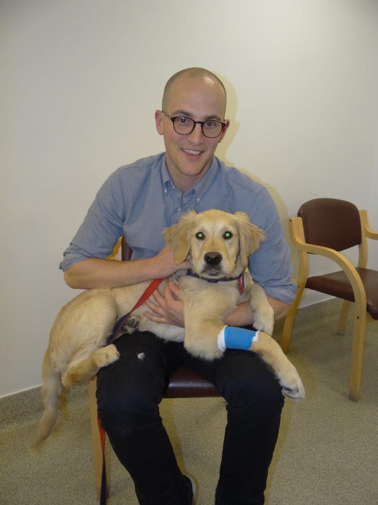 Golden Retriever puppy patient with his dad