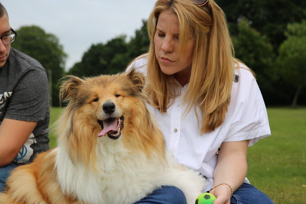 Rough Collie Merida at the park with mum