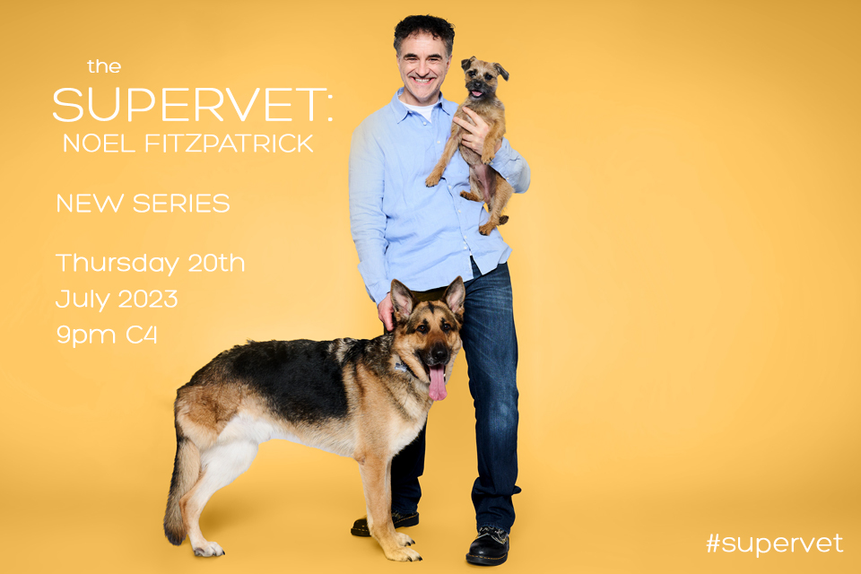 Supervet Noel Fitzpatrick with a Border Terrier and German Shepherd