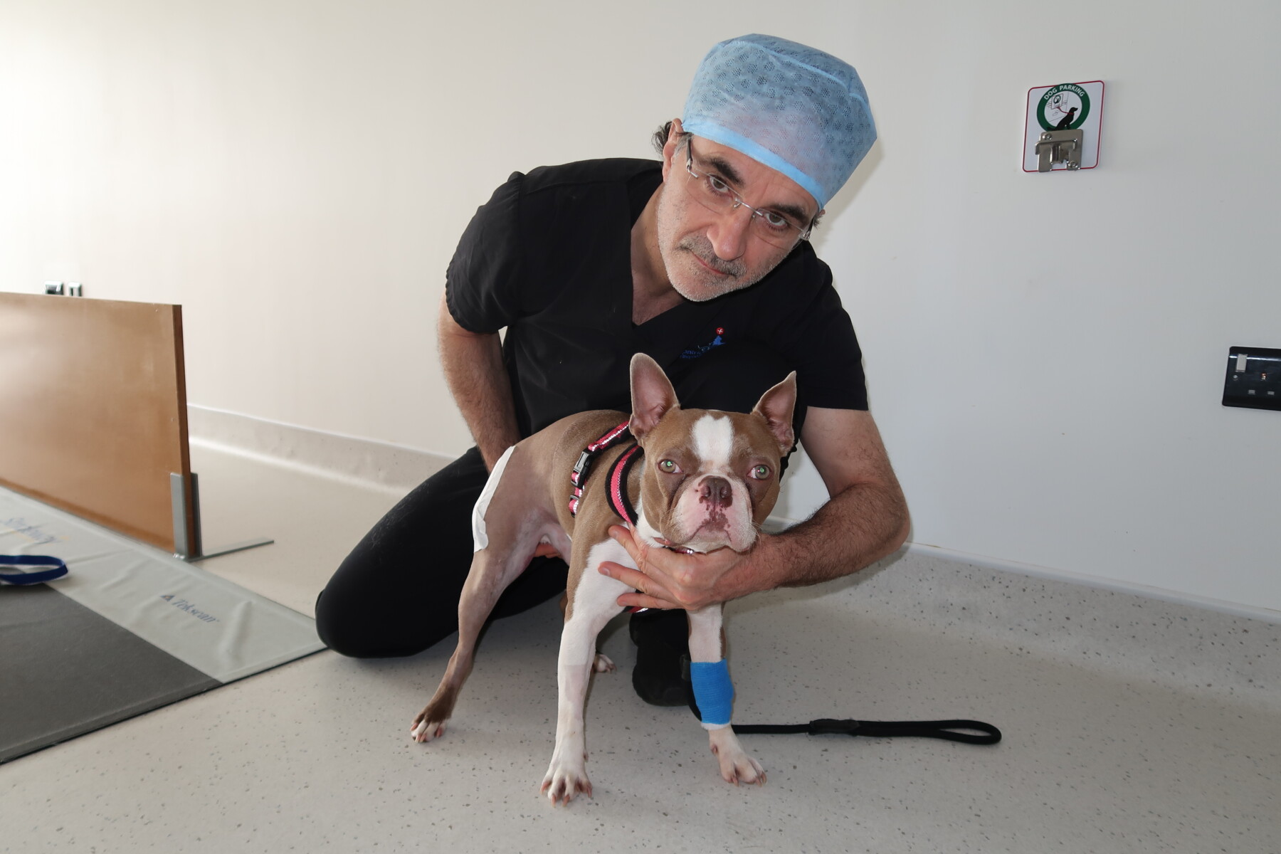 Boston Terrier Rogan and Professor Noel Fitzpatrick