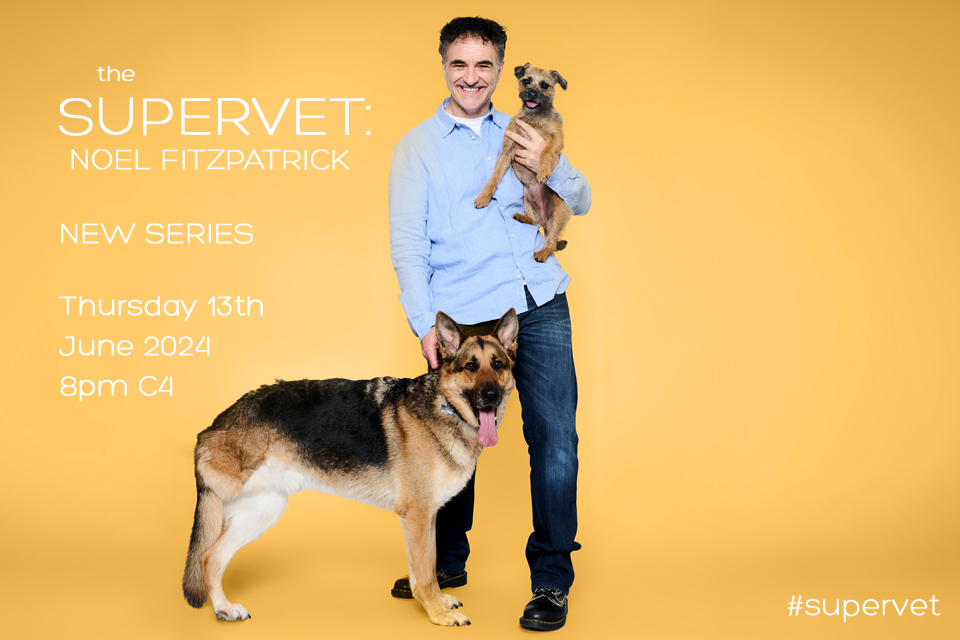 Professor Noel Fitzpatrick
